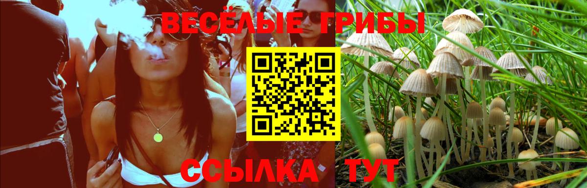 Галлюциногенные грибы мухоморы  Вход с VPN  Крымск  Псилоцибиновые грибы Psilocybine cubensis 